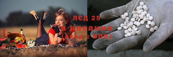 трава Армянск