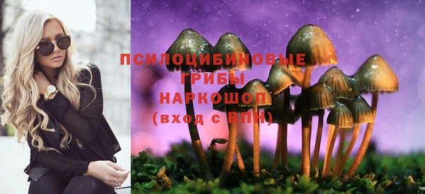 mix Аркадак